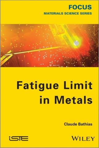 表紙画像: Fatigue Limit in Metals 1st edition 9781848214767
