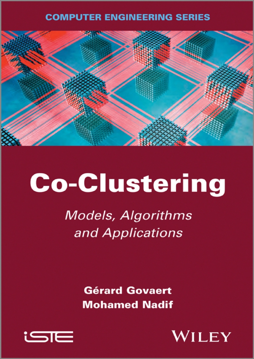 Co-Clustering Models, Algorithms and Applications 1st Edition