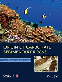 Cover image: Origin of Carbonate Sedimentary Rocks 1st edition 9781118652732