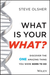 Cover image: What Is Your What?: Discover The 1 Thing You Were Born To Do 1st edition 9781118644041