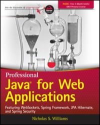 Cover image: Professional Java for Web Applications 1st edition 9781118656464