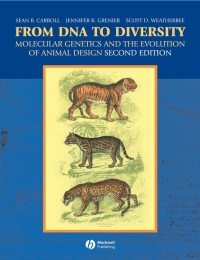 Cover image: From DNA to Diversity 2nd edition 9781405119504