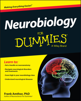 Omslagafbeelding: Neurobiology For Dummies 1st edition 9781118689318