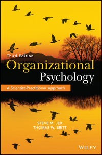 Titelbild: Organizational Psychology: A Scientist-Practitioner Approach 3rd edition 9781118724071