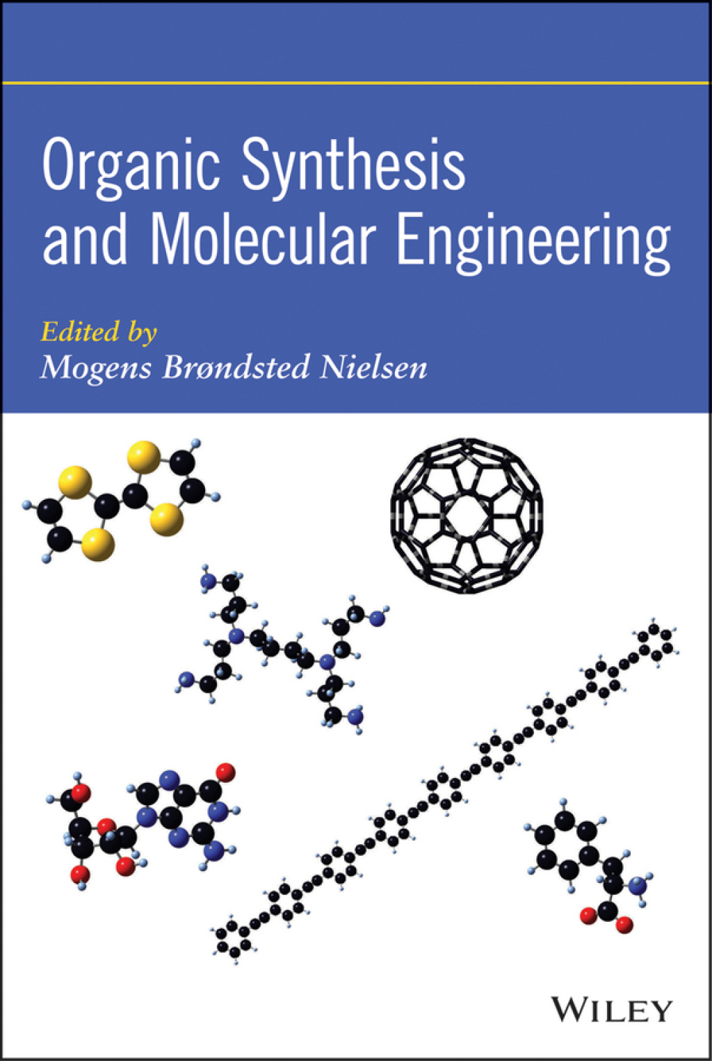 Organic Synthesis and Molecular Engineering 1st Edition