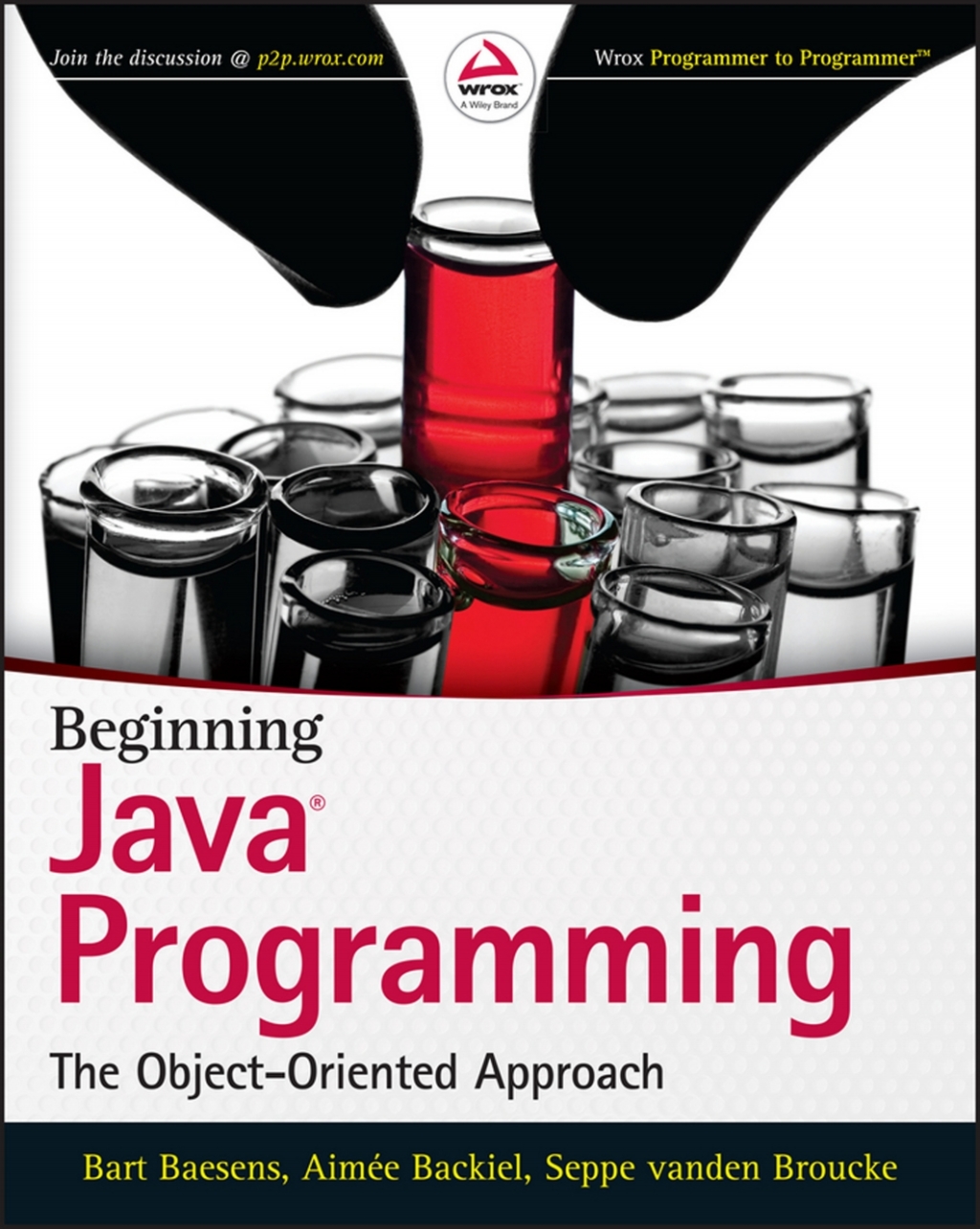 Beginning Java Programming: The Object-Oriented Approach - 1st Edition (eBook)