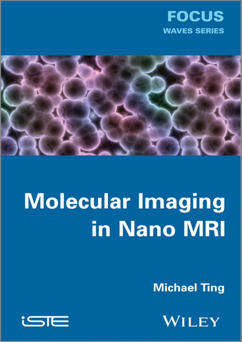 Molecular Imaging in Nano MRI 1st Edition