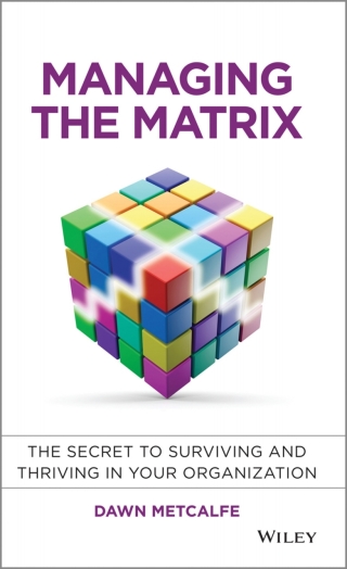 صورة الغلاف: Managing the Matrix 1st edition 9781118765371