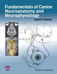 صورة الغلاف: Fundamentals of Canine Neuroanatomy and Neurophysiology 1st edition 9781118771761