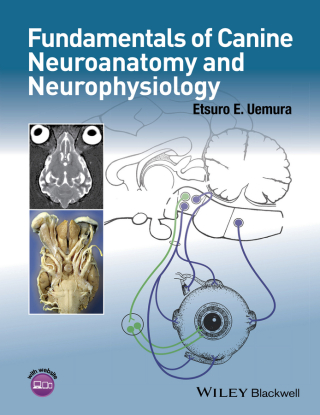 Imagen de portada: Fundamentals of Canine Neuroanatomy and Neurophysiology 1st edition 9781118771761