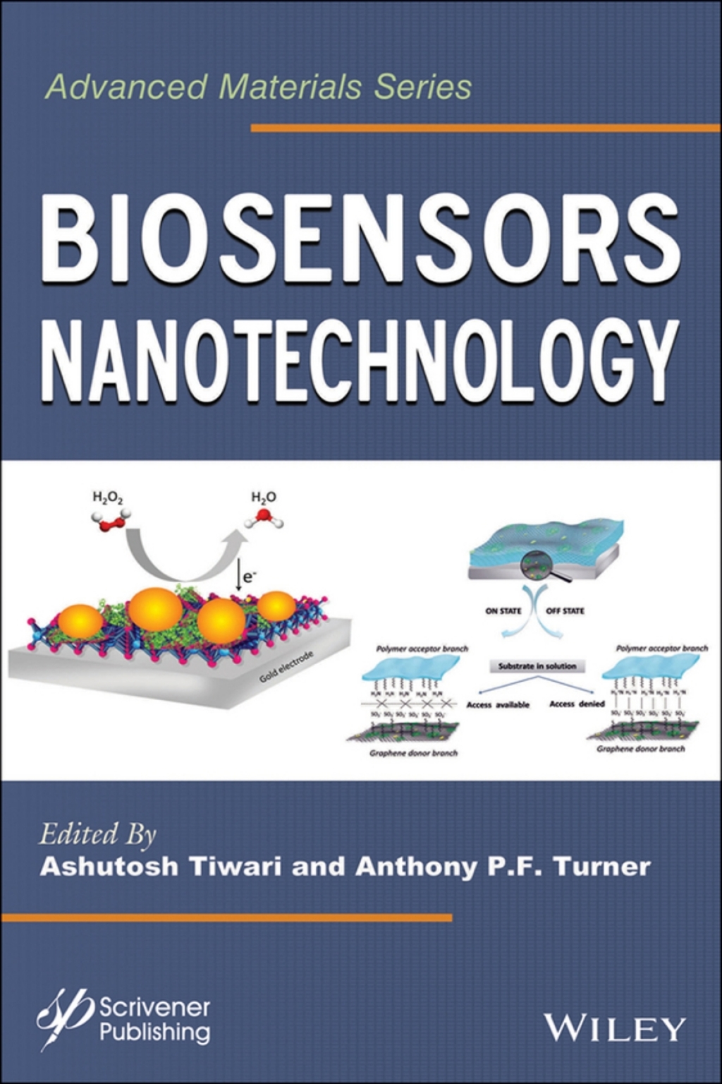 Biosensors Nanotechnology 1st Edition