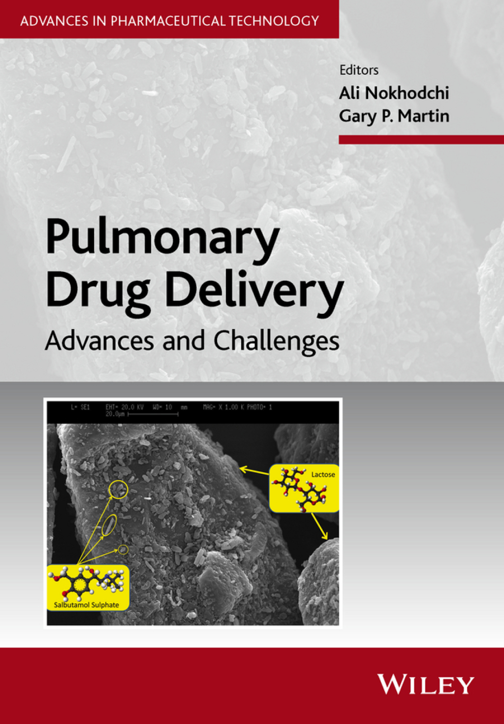 Pulmonary Drug Delivery: Advances and Challenges Advances and Challenges 1st Edition