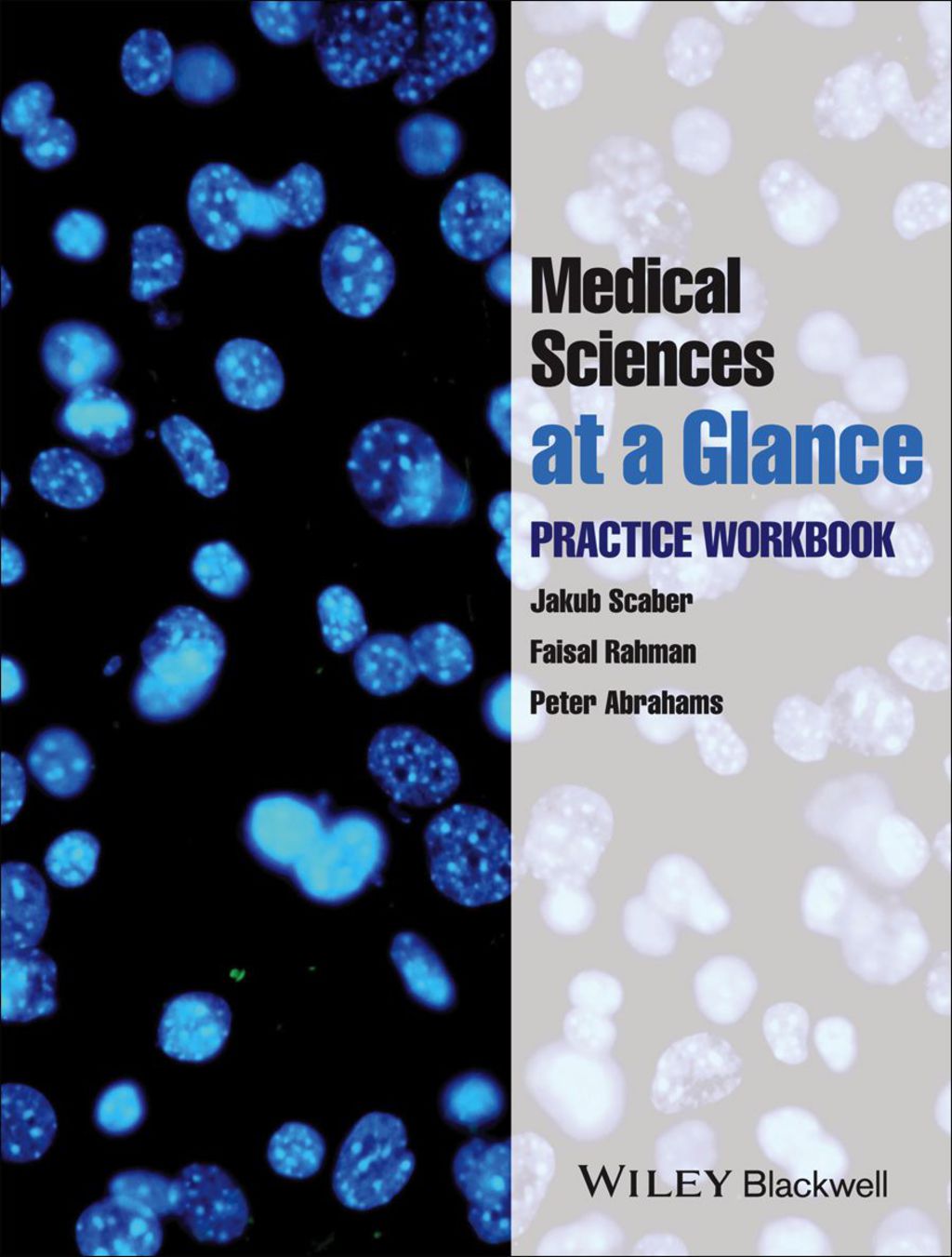 Medical Sciences at a Glance: Practice Workbook 1st Edition