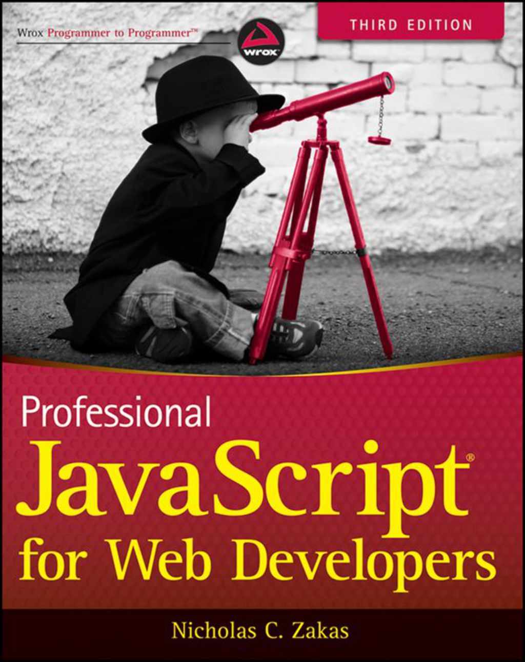 Professional JavaScript for Web Developers - 3rd Edition (eBook)