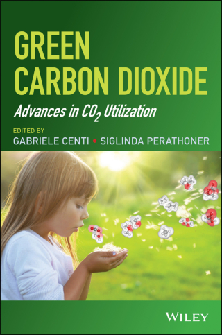Imagen de portada: Green Carbon Dioxide 1st edition 9781118590881