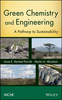 Cover image: Green Chemistry and Engineering: A Pathway to Sustainability 1st edition 9780470413265