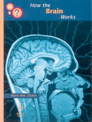 Cover image: How the Brain Works 1st edition 9780632044412