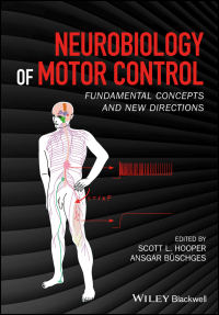 Cover image: Neurobiology of Motor Control: Fundamental Concepts and New Directions 1st edition 9781118873403