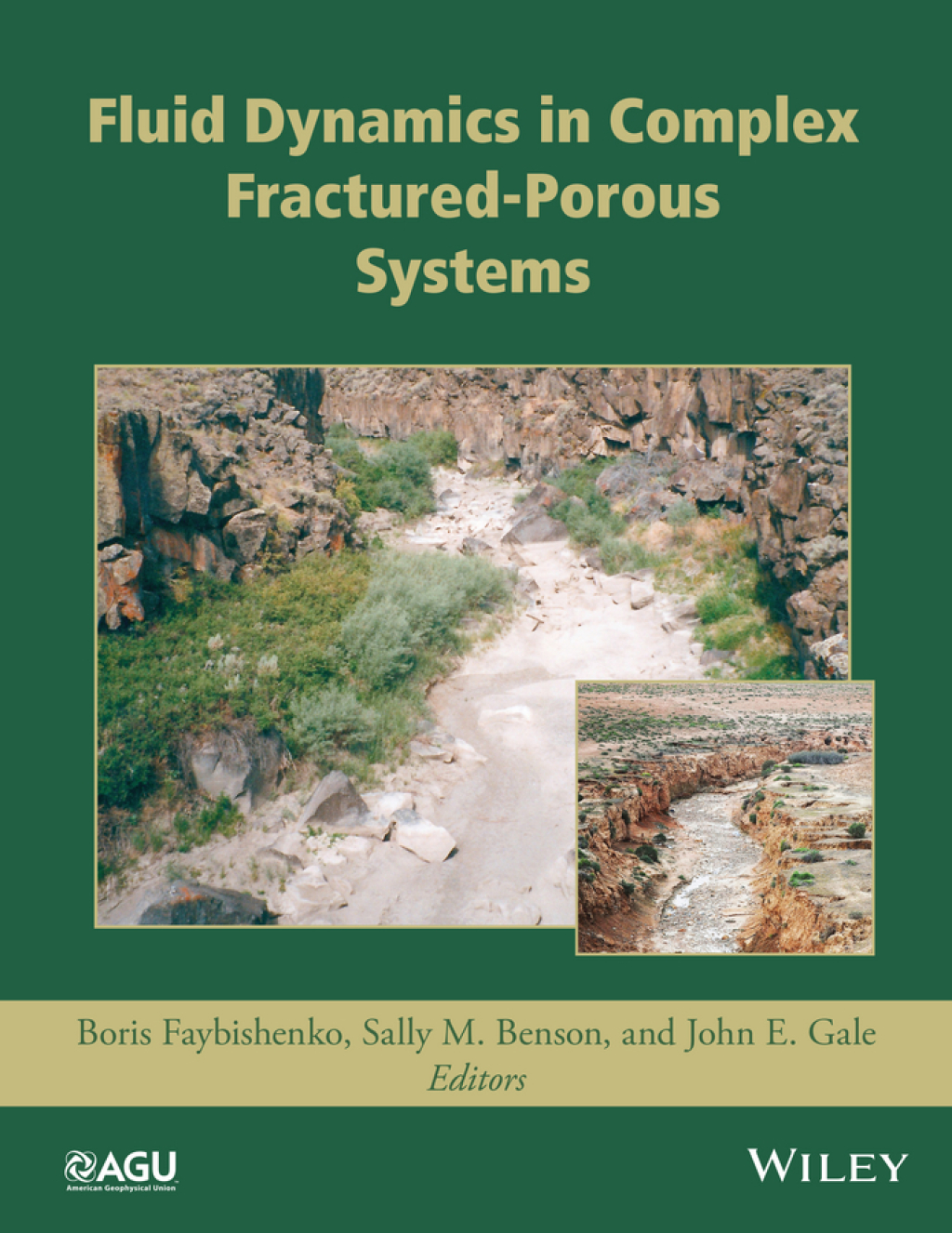 Fluid Dynamics in Complex Fractured-Porous Systems 1st Edition