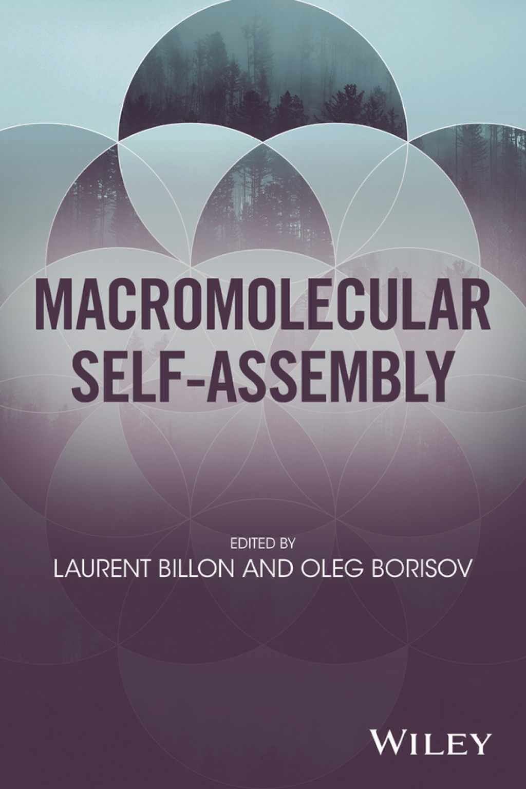 Macromolecular Self-Assembly 1st Edition