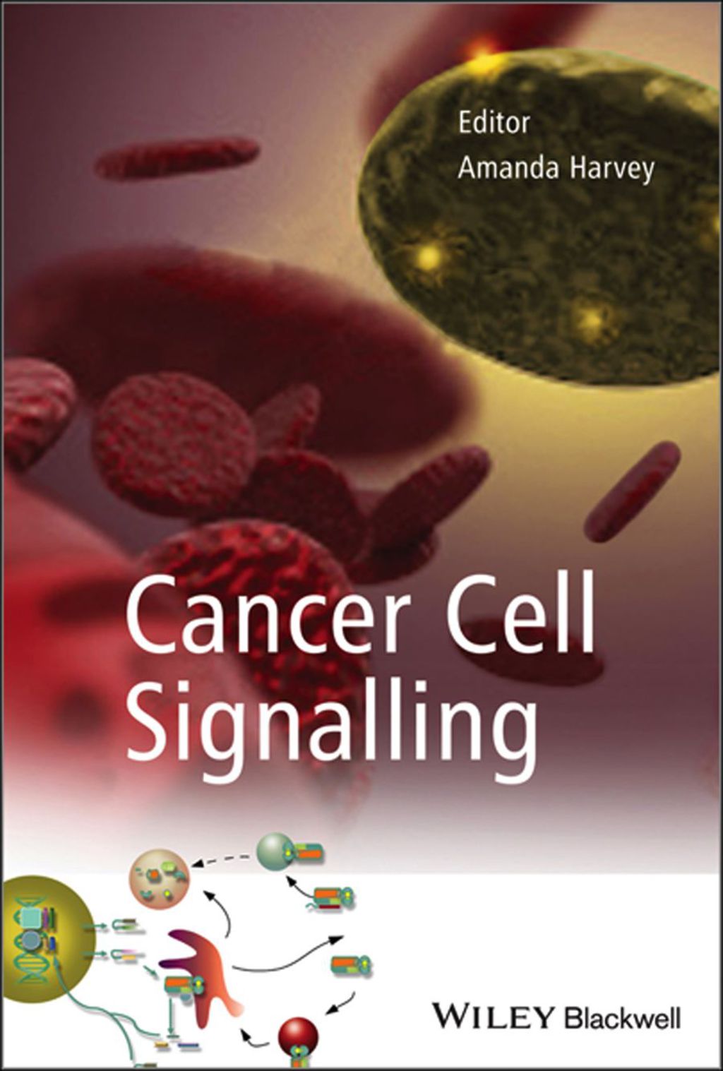 Cancer Cell Signalling 1st Edition