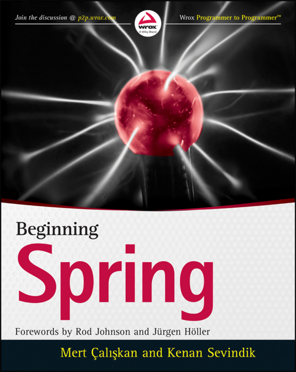 Beginning Spring 1st Edition