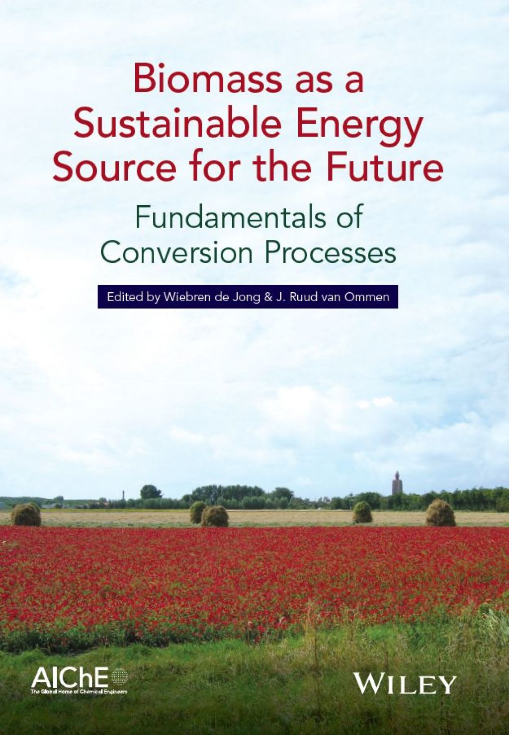 Biomass as a Sustainable Energy Source for the Future Fundamentals of Conversion Processes 1st Edition