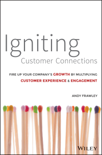 صورة الغلاف: Igniting Customer Connections 1st edition 9781118916704