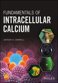 Imagen de portada: Fundamentals of Intracellular Calcium 1st edition 9781118941874