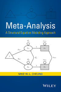 Omslagafbeelding: Meta-Analysis: A Structural Equation Modeling Approach 1st edition 9781119993438