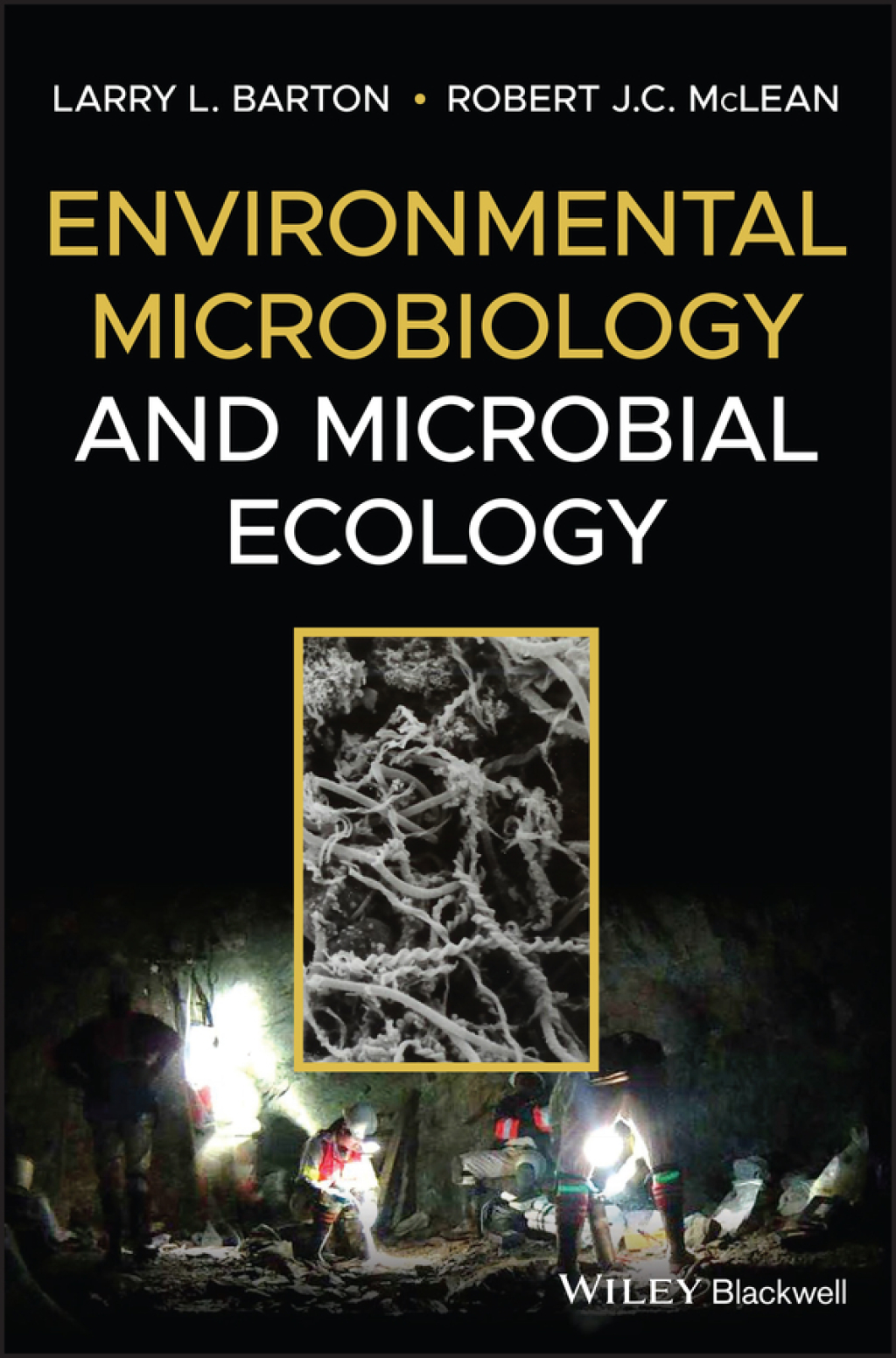 Environmental Microbiology and Microbial Ecology 1st Edition