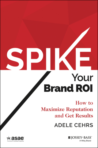 Cover image: Spike your Brand ROI 1st edition 9781118976661