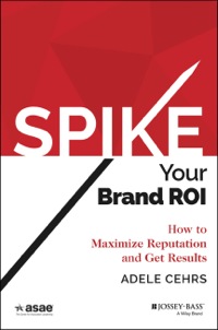 Cover image: SPIKE your Brand ROI: How to Maximize Reputation and Get Results 1st edition 9781118976661