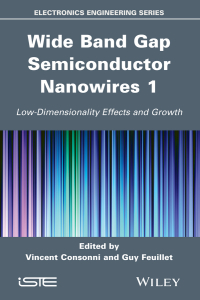 Cover image: Wide Band Gap Semiconductor Nanowires 1: Low-Dimensionality Effects and Growth 1st edition 9781848215979