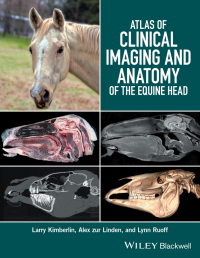 صورة الغلاف: Atlas of Clinical Imaging and Anatomy of the Equine Head 1st edition 9781118988978