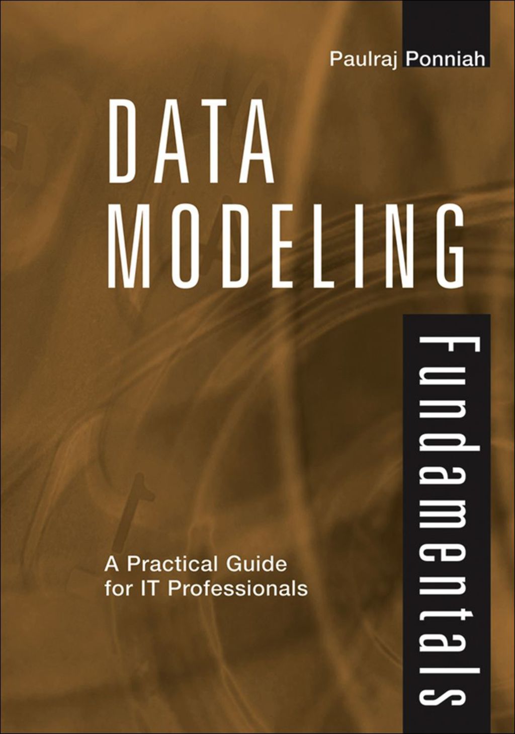 Data Modeling Fundamentals: A Practical Guide for IT Professionals 1st Edition