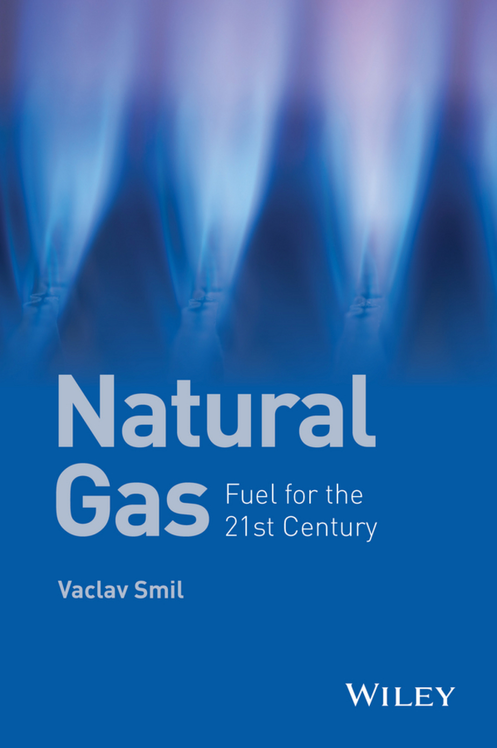 Natural Gas: Fuel for the 21st Century Fuel for the 21st Century 1st Edition
