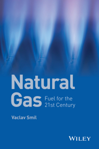 Cover image: Natural Gas: Fuel for the 21st Century 1st edition 9781119012863
