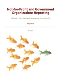 Cover image: Not-for-Profit and Government Organizations
Reporting 1st edition