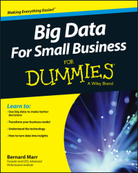 Imagen de portada: Big Data For Small Business For Dummies 1st edition 9781119027034