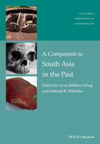 Cover image: A Companion to South Asia in the Past 1st edition 9781119055211