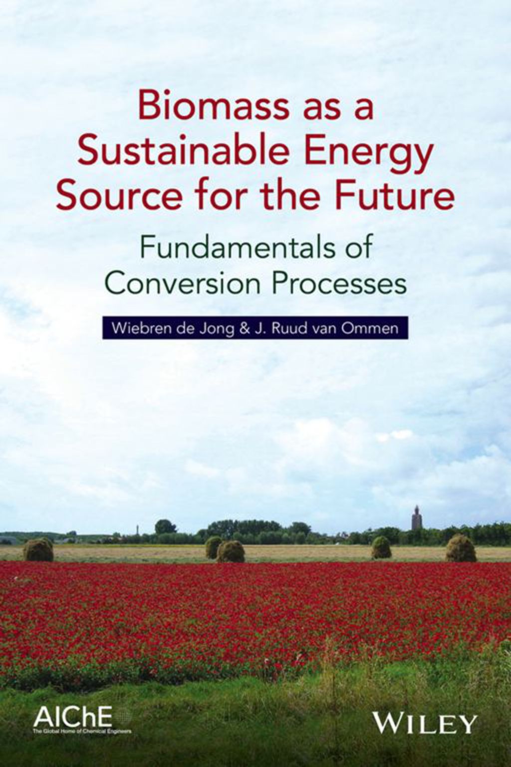 Biomass as a Sustainable Energy Source for the Future: Fundamentals of Conversion Processes 1st Edition