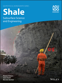 Imagen de portada: Shale 1st edition 9781119066682