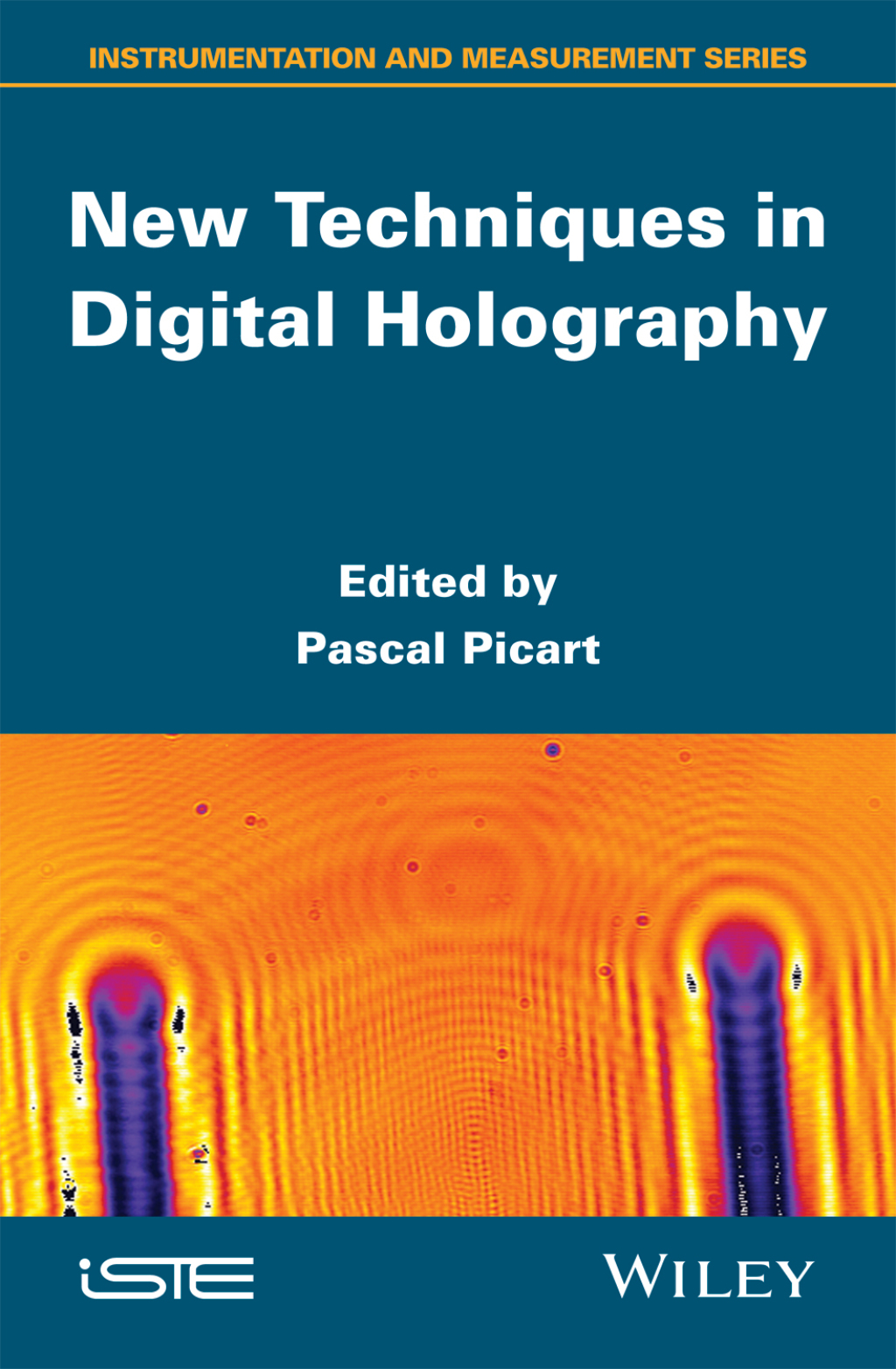 New Techniques in Digital Holography 1st Edition