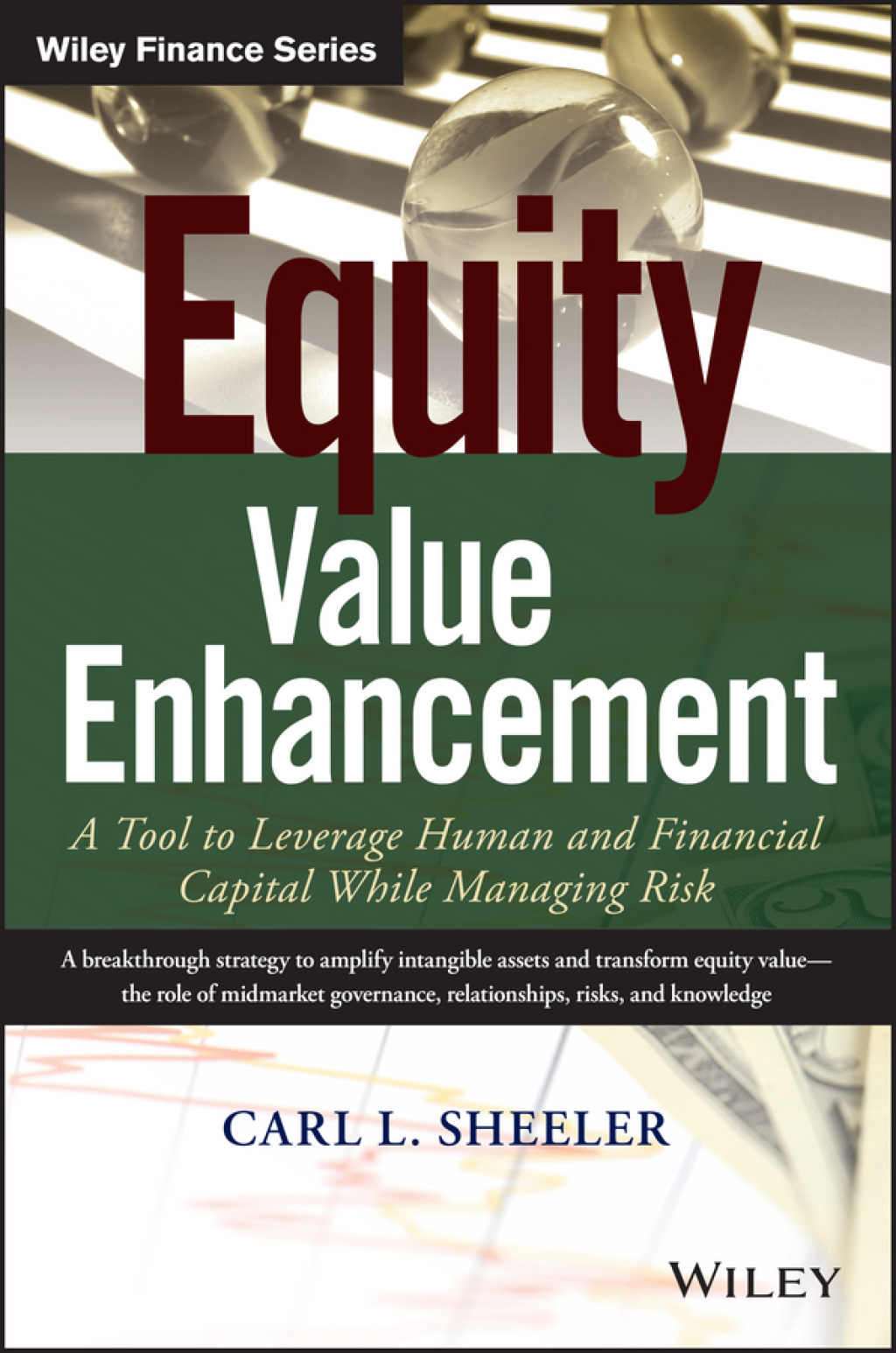 Equity Value Enhancement A Tool to Leverage Human and Financial Capital While Managing Risk 1st Edition