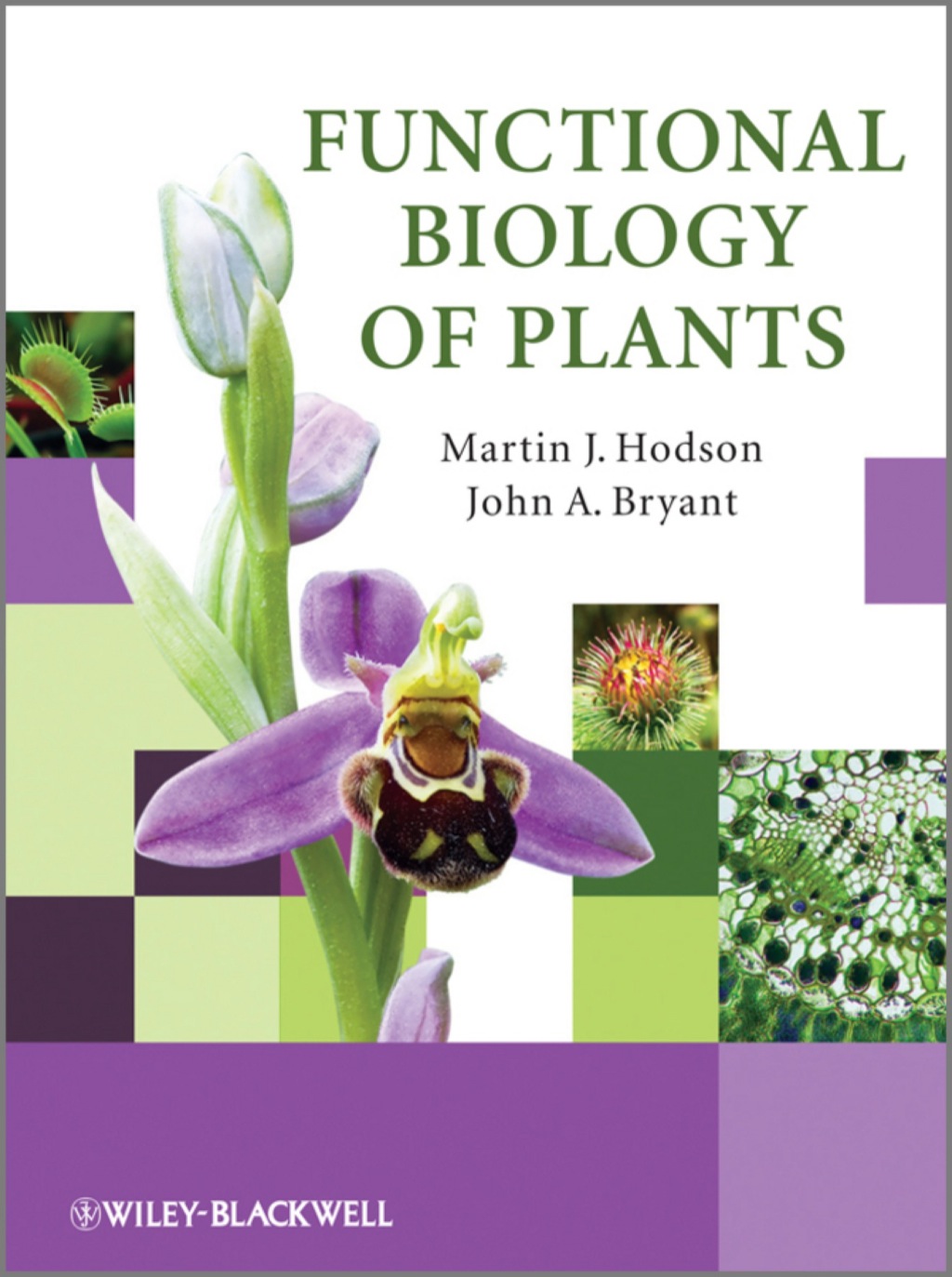 Functional Biology of Plants 1st Edition