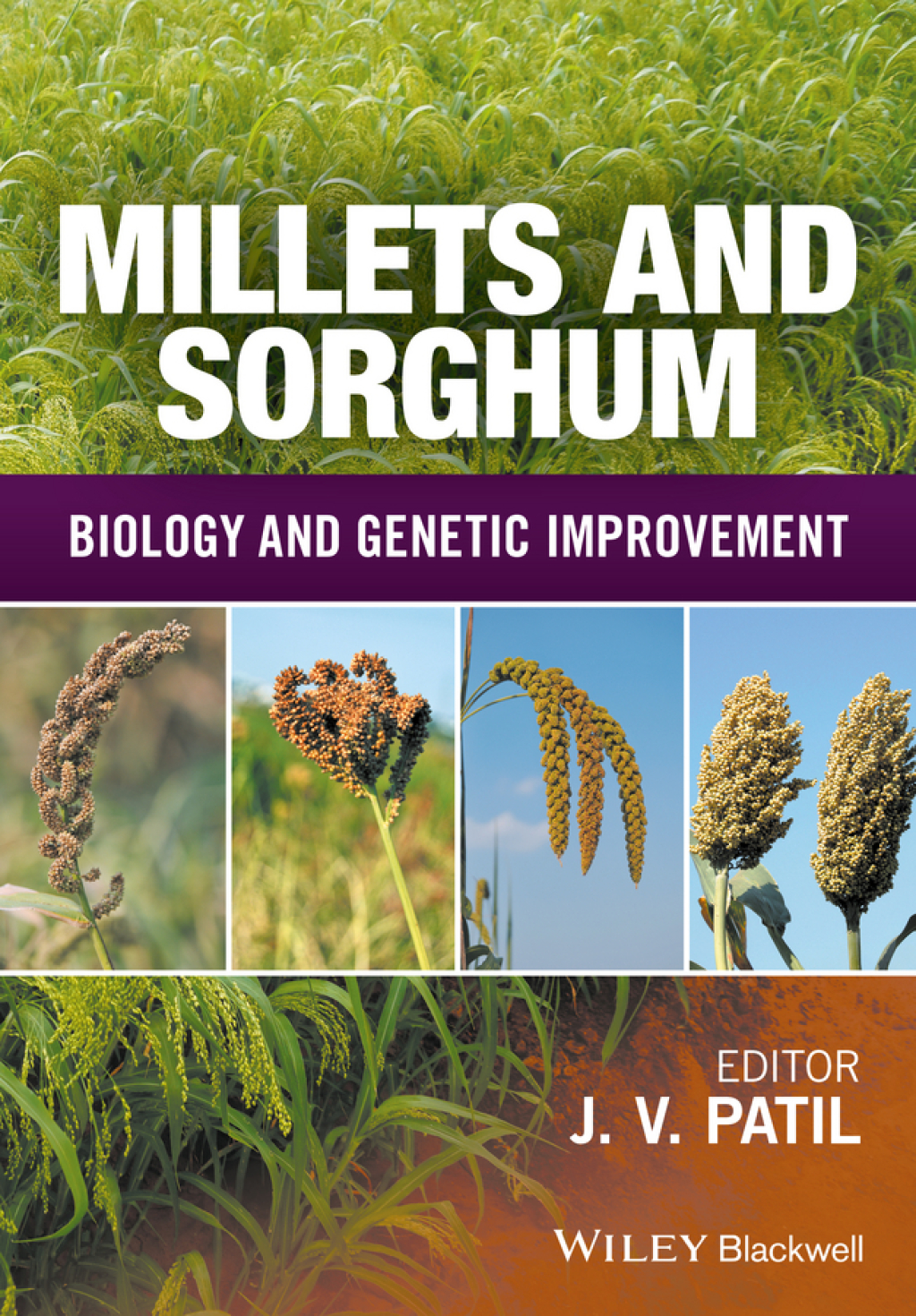 Millets and Sorghum Biology and Genetic Improvement 1st Edition