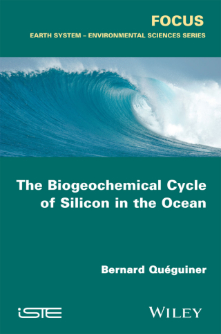 Imagen de portada: The Biogeochemical Cycle of Silicon in the Ocean 1st edition 9781848218154