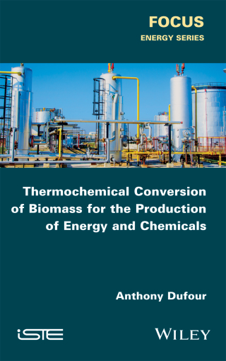 Titelbild: Thermochemical Conversion of Biomass for the Production of Energy and Chemicals 1st edition 9781848218239