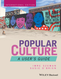 صورة الغلاف: Popular Culture: A User's Guide, International Edition 1st edition 9781119140344